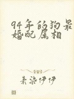 94年的狗最佳婚配属相封面