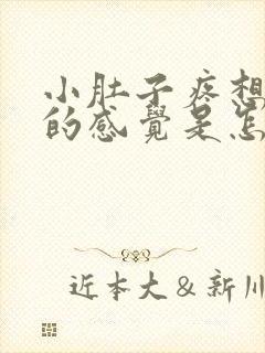 小肚子疼想大便的感觉是怎么回事