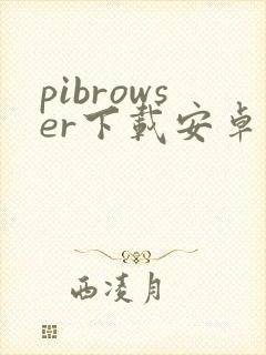 pibrowser下载安卓封面