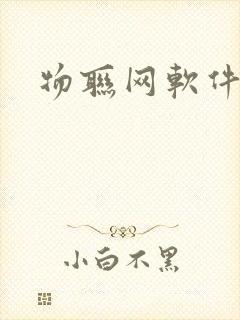 物联网软件开发