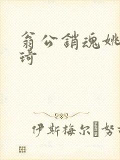 翁公销魂姚瑶琦琦封面