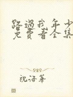 路过我年少时光免费看全集