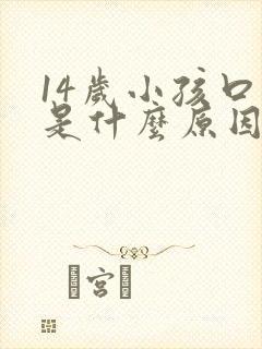 14岁小孩口臭是什么原因