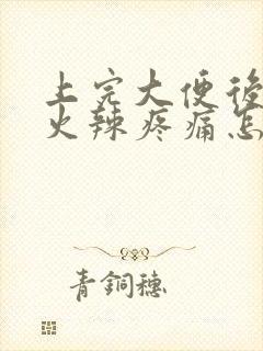 上完大便后肛门火辣疼痛怎么回事