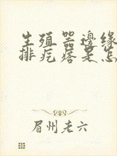 生殖器边缘长一排疙瘩是怎么回事