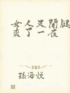 女人叉开腿让我爽了一夜封面