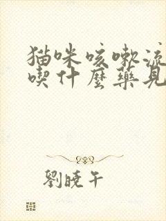 猫咪咳嗽流鼻涕吃什么药见效快