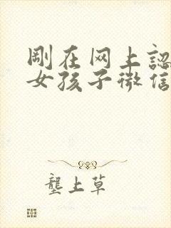 刚在网上认识的女孩子微信怎么聊天