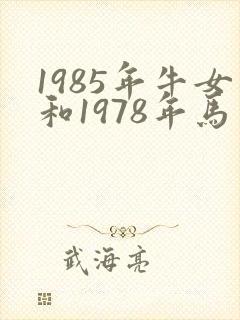 1985年牛女和1978年马男婚姻