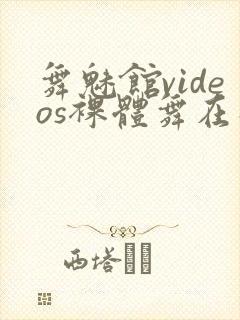 舞魅馆videos裸体舞在线观看封面