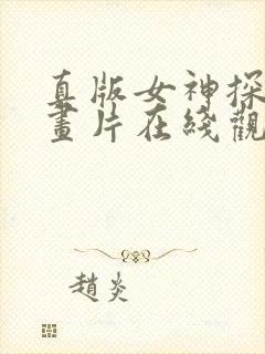 真版女神探侦动画片在线观看