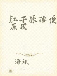 肚子胀排便困难原因