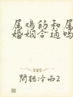 属鸡的和属狗的婚姻合适吗