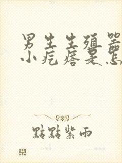 男生生殖器上长小疙瘩是怎么回事封面