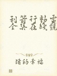 利箭行动电视剧全集在线观看