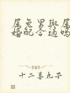 属兔男与属龙女婚配合适吗好吗