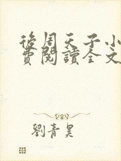 后周天子小说免费阅读全文最新章节