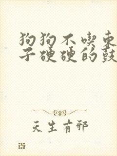 狗狗不吃东西肚子硬硬的鼓鼓的