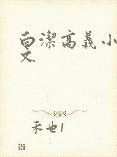 白洁高义小说全文