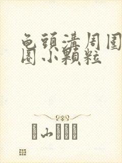 龟头沟周围长一圈小颗粒封面