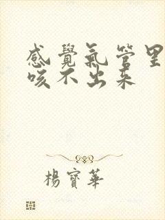 感觉气管里有痰咳不出来