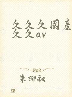 久久久国产精品久久av