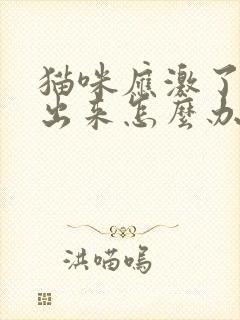 猫咪应激了尿不出来怎么办