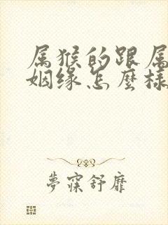 属猴的跟属鸡的姻缘怎么样封面