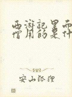 西游记里面的沙僧用的是什么武器