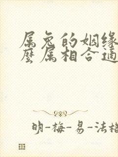 属兔的姻缘和什么属相合适