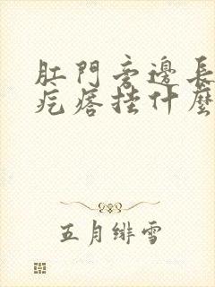 肛门旁边长个硬疙瘩挂什么科室