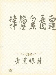 后脑勺长白发是什么原因造成的封面