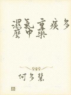 湿气重痰多吃什么中药