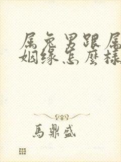 属兔男跟属猴的姻缘怎么样