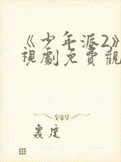 《少年派2》电视剧免费观看