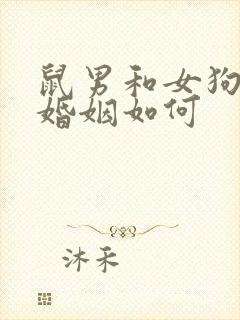 鼠男和女狗相配婚姻如何