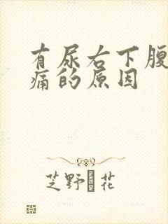 有尿右下腹部隐痛的原因封面