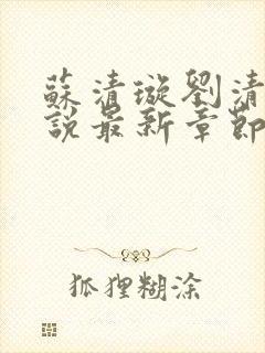 苏清璇刘清明小说最新章节