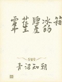 雪花牌冰箱是哪年生产的