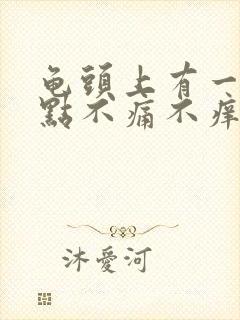 龟头上有一个红点不痛不痒怎么回事