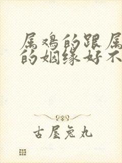 属鸡的跟属兔子的姻缘好不好