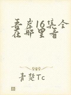 吾岸16集全集在哪里看