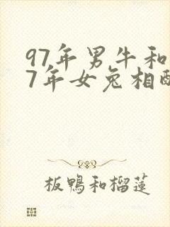 97年男牛和87年女兔相配吗封面