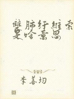 双肺纤维索条影是啥意思封面