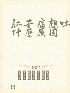 肚子痛想吐头晕什么原因