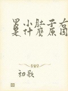 男小肚子右边疼是什么原因