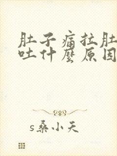 肚子痛拉肚子呕吐什么原因引起的