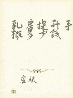 乳房提升手术大概多少钱