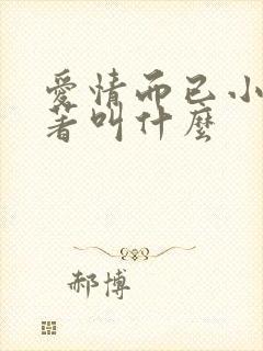 爱情而已小说原著叫什么