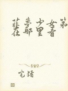 菲梦少女第3季在哪里看